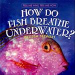 How Do Fish Breathe Underwater?