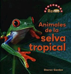 Animales de La Selva Tropical