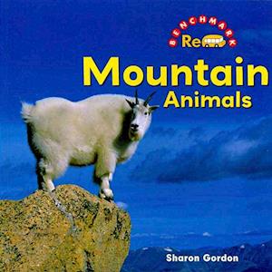 Mountain Animals