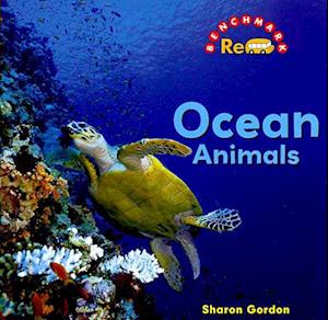 Ocean Animals