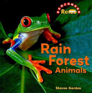 Rain Forest Animals