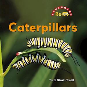 Caterpillars