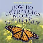 How Do Caterpillars Become Butterflies?
