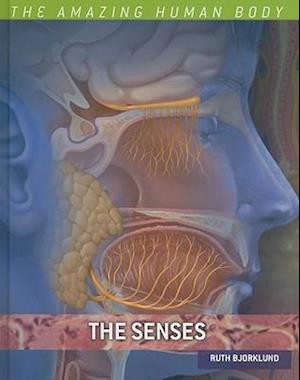 The Senses