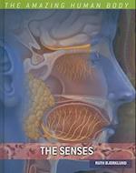 The Senses