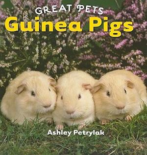 Guinea Pigs