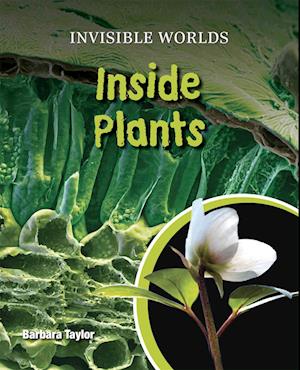 Inside Plants