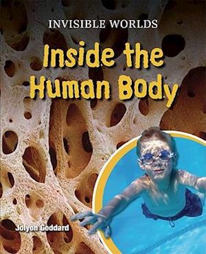 Inside the Human Body