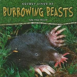 Secret Lives of Burrowing Beasts