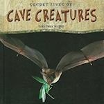 Secret Lives of Cave Creatures