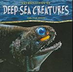 Secret Lives of Deep-Sea Creatures