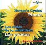 Las Plantas / Plants