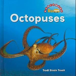 Octopuses