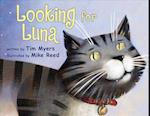 Looking for Luna