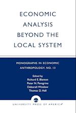 Economic Analysis Beyond the Local System