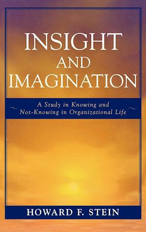 Insight and Imagination