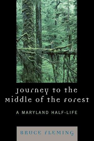 Journey to the Middle of the Forest
