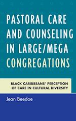 Pastoral Care and Counseling in Large/Mega Congregations