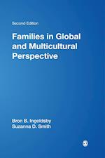 Families in Global and Multicultural Perspective
