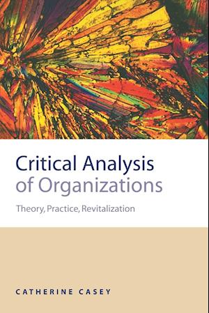 Critical Analysis of Organizations