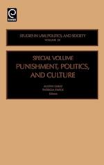 Punishment, Politics, and Culture