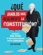 ?Que Diablos Dice Realmente La Constitucion? [Omg Wtf Does the Constitution Actually Say?]