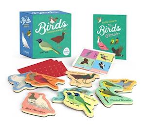 Birds: A Wooden Magnet Set