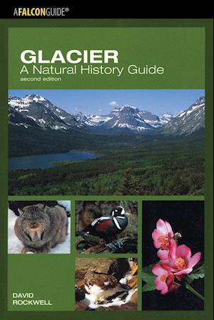 Glacier: A Natural History Guide