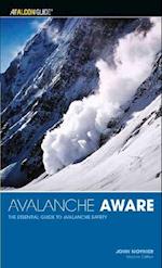 Avalanche Aware