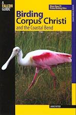 Birding Corpus Christi and the Coastal Bend