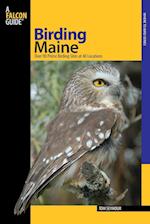 Birding Maine