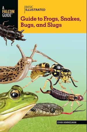 Basic Illustrated Guide to Frogs, Snakes, Bugs, and Slugs