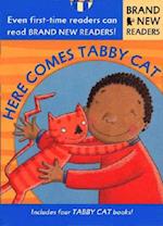 Here Comes Tabby Cat