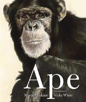 Ape