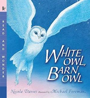 White Owl, Barn Owl