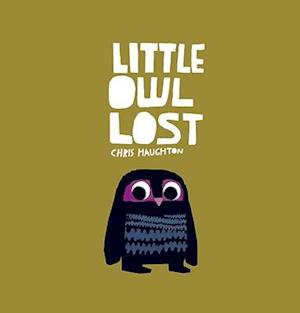 Little Owl Lost