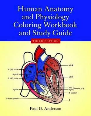 Human Anatomy  &  Physiology Coloring Workbook