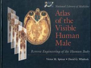 National Library Of Medicine Atlas Of The Visible Human Male: Reverse Engineering Of The Human Body