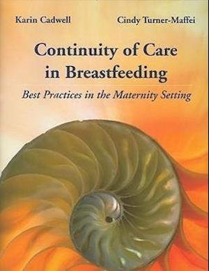 Continuity Of Care In Breastfeeding: Best Practices In The Maternity Setting