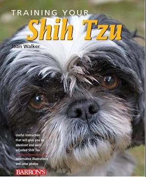 Training Your Shih Tzu