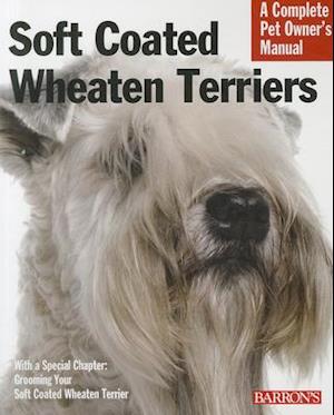Soft Coated Wheaten Terriers