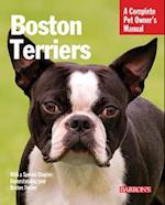 Boston Terriers