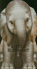 Little Elephant