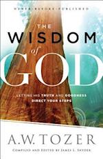 The Wisdom of God – Letting His Truth and Goodness Direct Your Steps