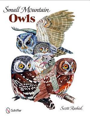 Small Mountain Owls