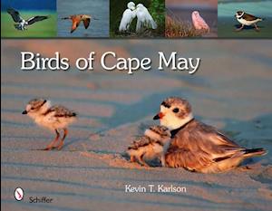 Birds of Cape May