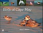 Birds of Cape May