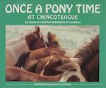 Lockhart, L: Once a Pony Time at Chincoteague