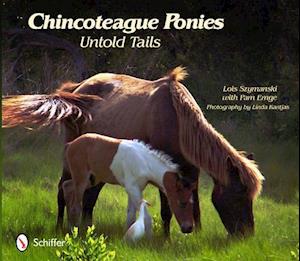 Chincoteague Ponies