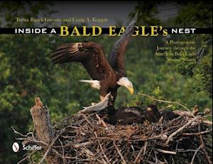 Gorrow, T: Inside a Bald Eagle's Nest